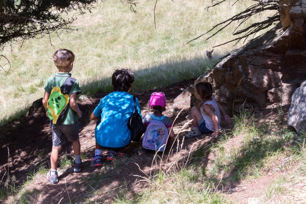 Magique pour les enfants qui peuvent voir de très près et sans barrières les animaux