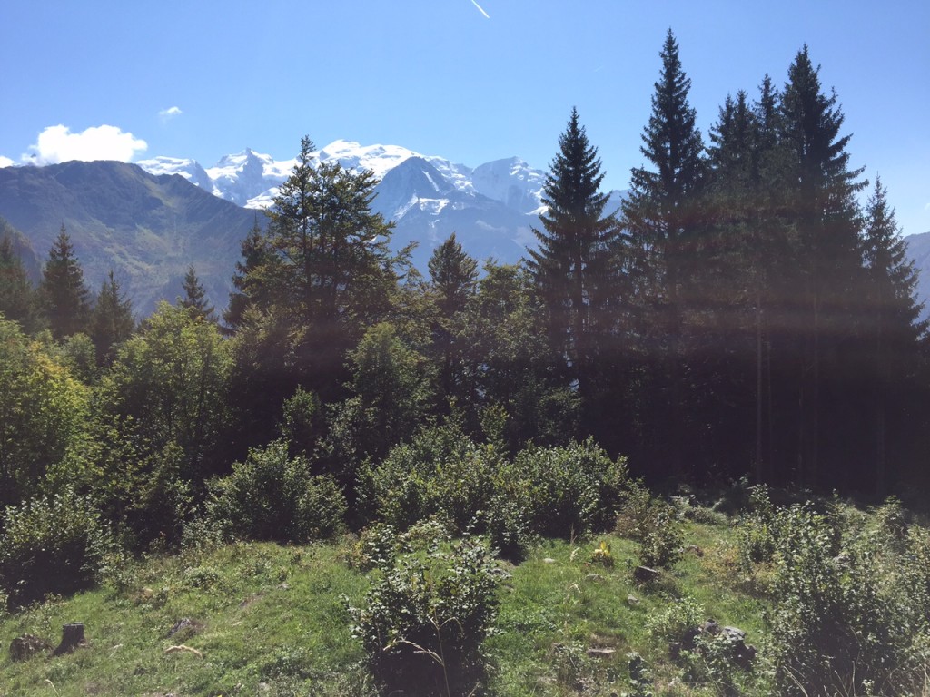 Vue sur le massif du Mont Blanc à la sortie de la forêt