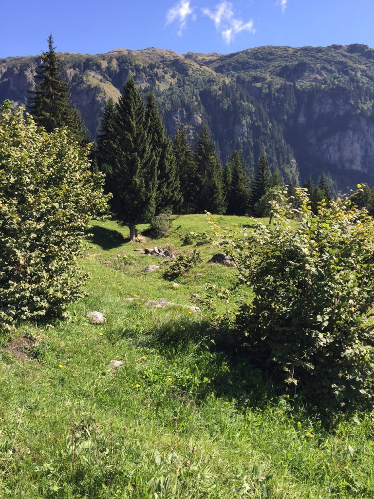 Vue sur Pormonaz